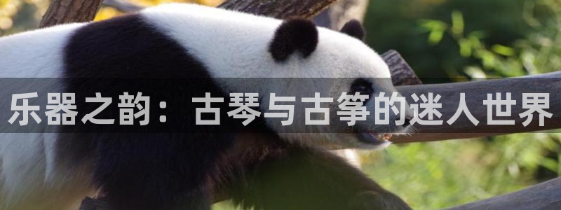 凯发k8娱乐是国内平台?