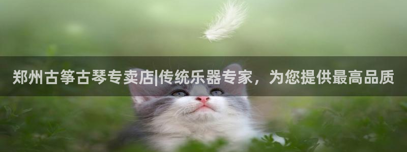 凯发k8娱乐是哪个国家的