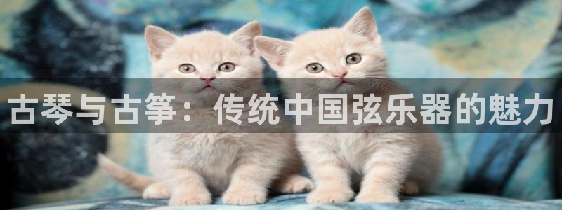 凯发官方首页