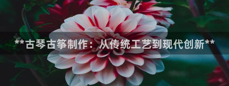 凯发平台k8