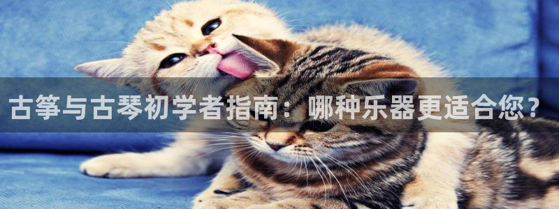 凯发k8娱乐官方下载