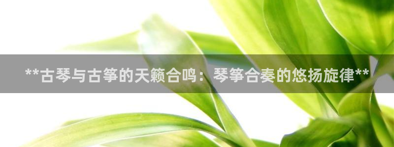 凯发国际网络平台网址
