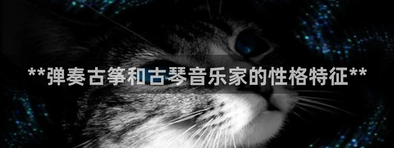 凯发网娱乐官网国际