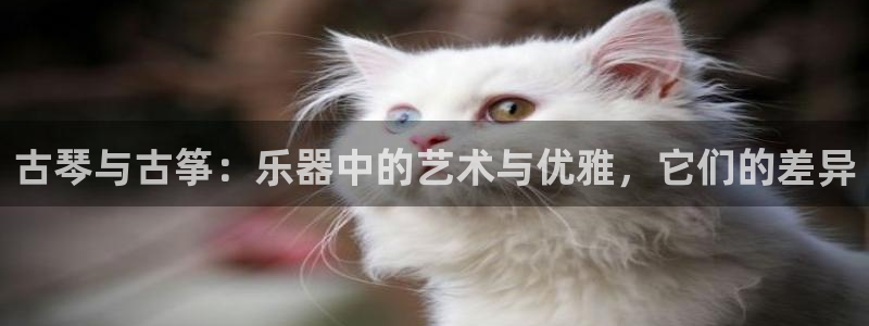 凯发官网网址多少