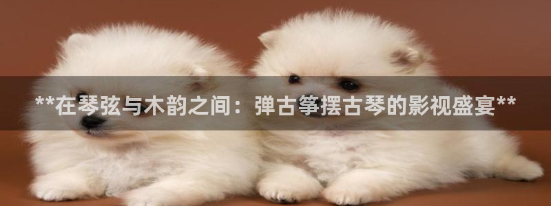 凯发网站是多少