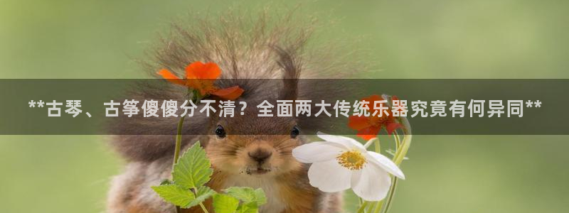 凯发国际网址官网
