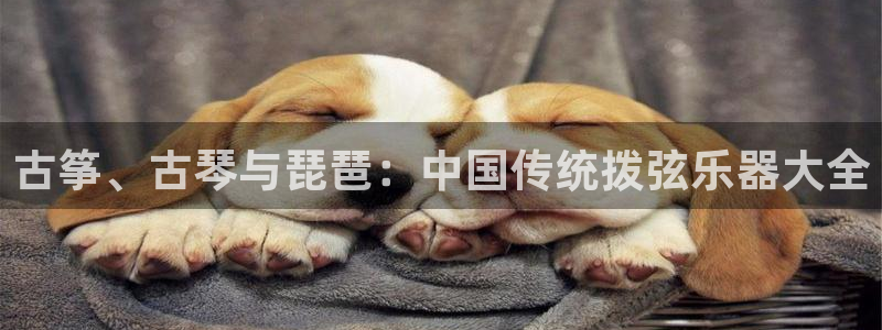 凯发k8旗舰店