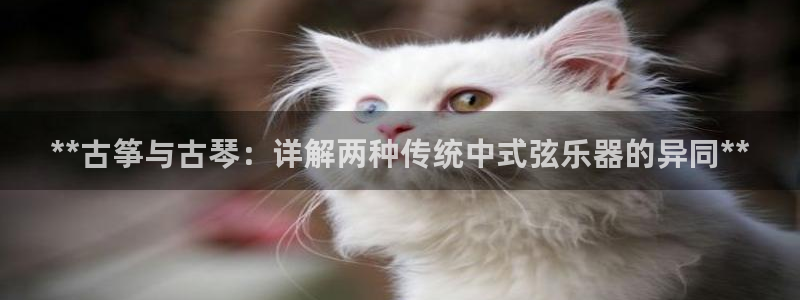 凯发官方在线