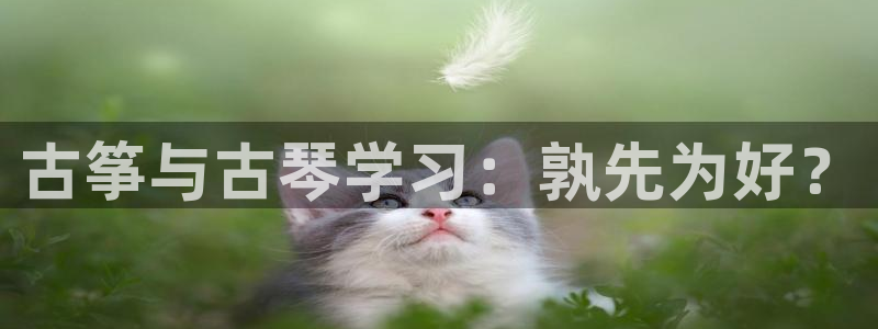凯发正规网站