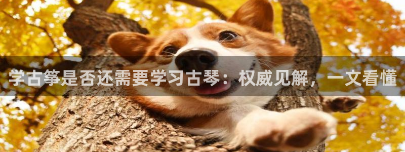 凯发网站是多少