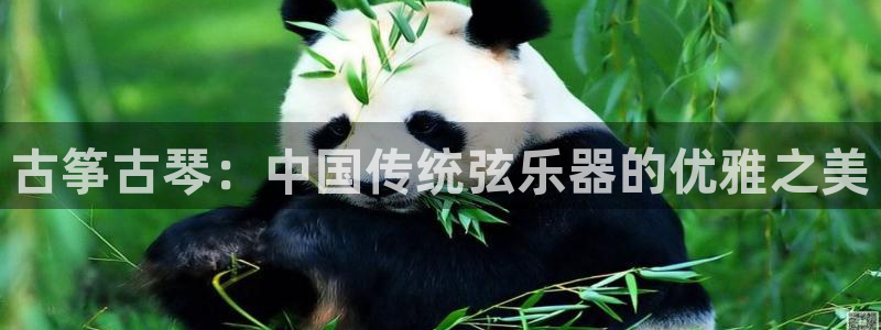 凯发手机app官网