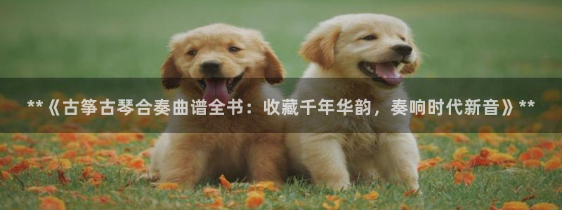凯发网址直营