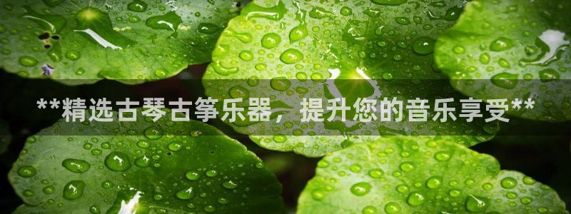 凯发国际可靠送38元