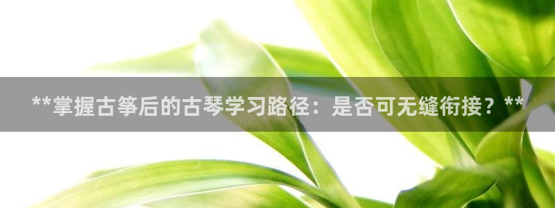 凯发k8娱乐平台下载