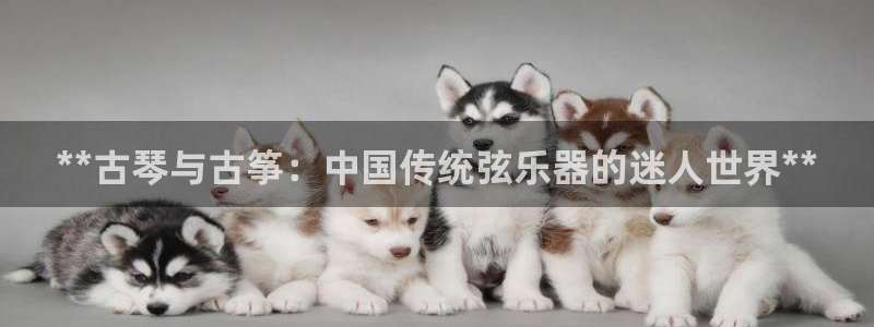 凯发k8官网下载客户端中心