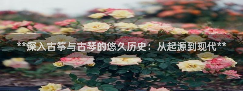 国际凯发k8真人版旗舰厅