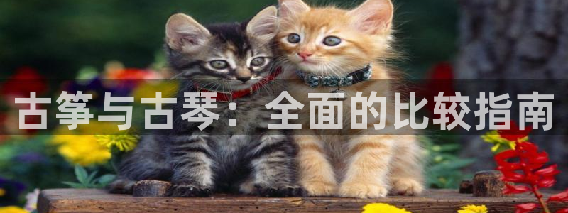 凯发k873