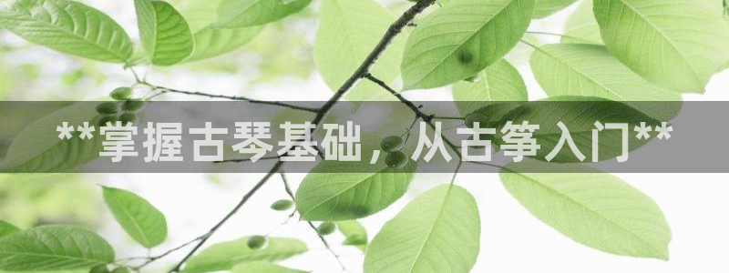 凯发平台8