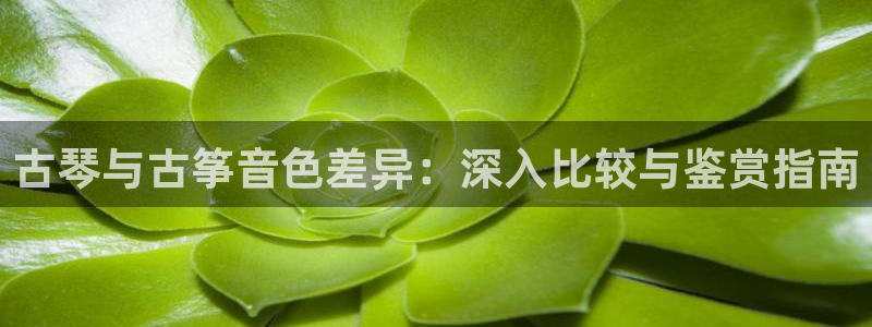 凯发平台首7O777