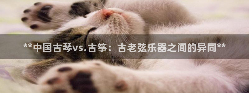 凯发k8官方旗舰店app