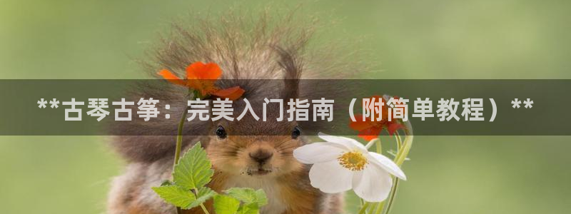 ks8凯发登录网址ios版下载