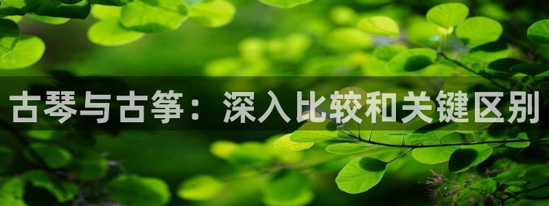 凯发k8娱乐手机版官网