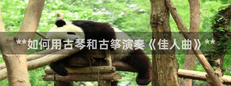 凯发娱乐k8下载