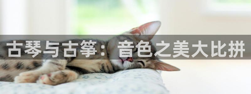 凯发平台风采