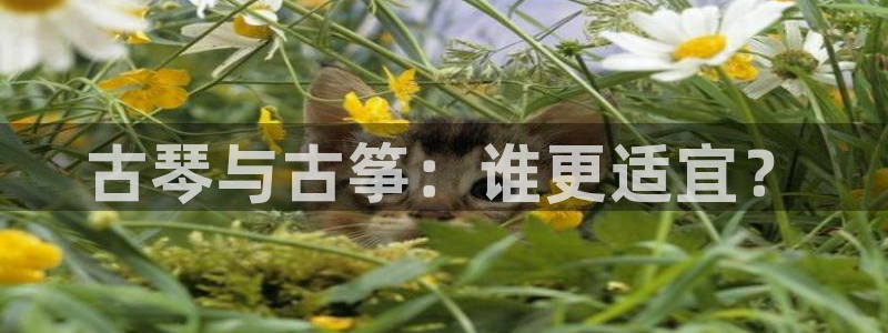 凯发官网手机app