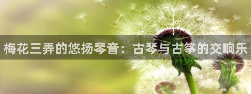 凯发网址登录