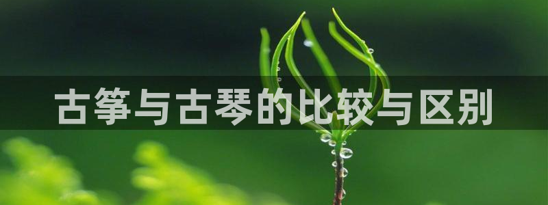 凯发国际是什么投资平台