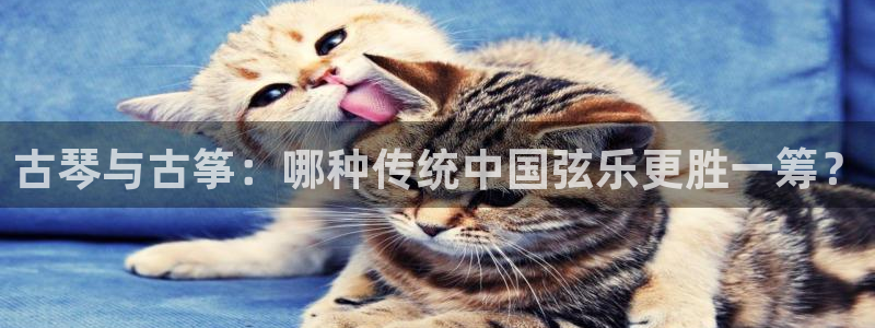凯发平台网址