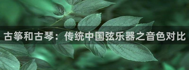 凯发手机官网客户端
