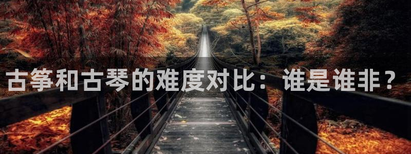 凯发娱网址是什么