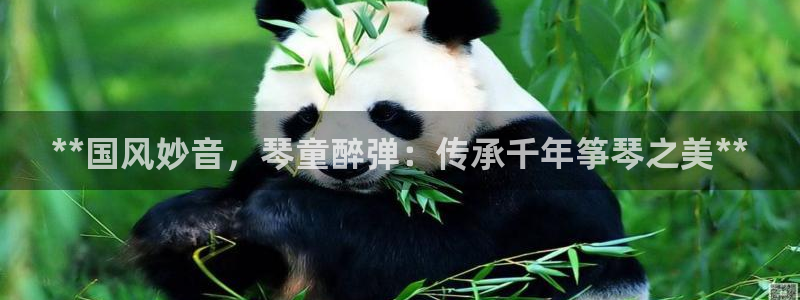 凯发平台风采