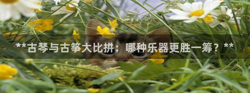 凯发国际怎么赚钱