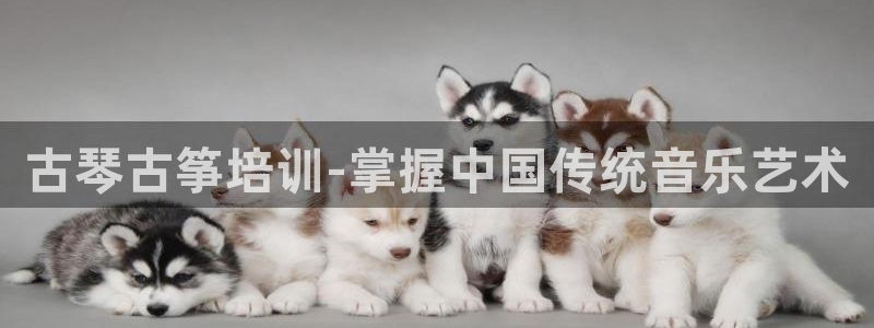 凯发旗舰