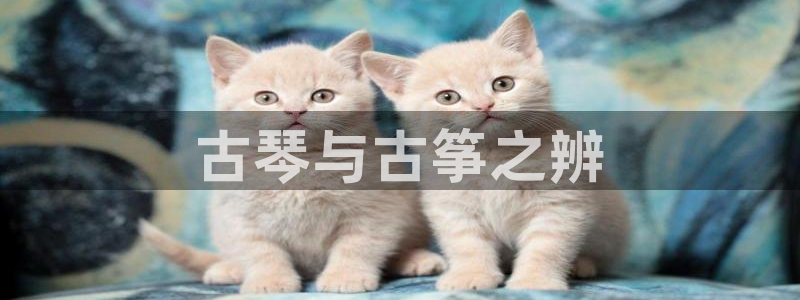 凯发官方在线