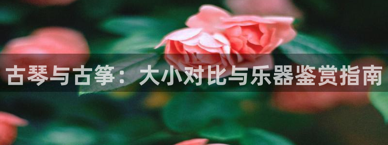 凯发国际娱乐官网k8