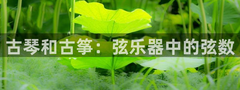 凯发官方手机app
