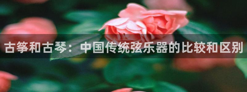 凯发k8娱乐欢迎您