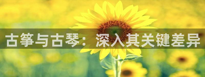 凯发官网|认准kpm