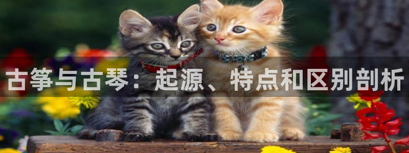 凯发官方首页