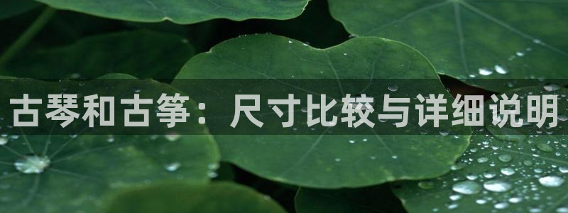 凯发k8娱乐平台能提现吗