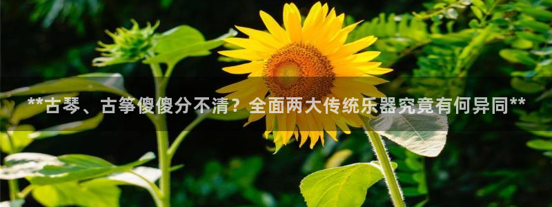 凯发app地址