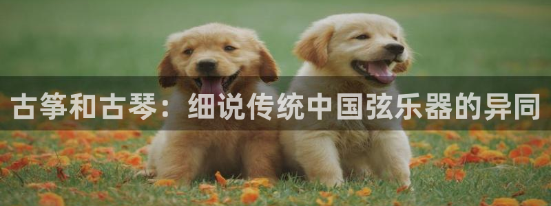 凯发k8娱乐是国内平台?