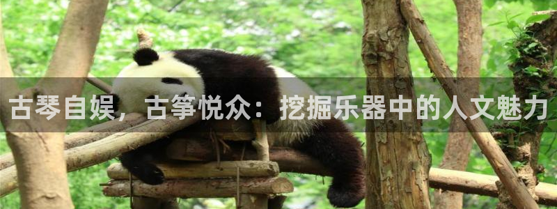凯发app可信吗