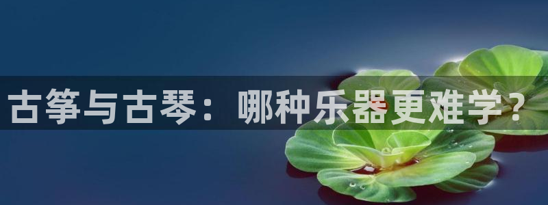 凯发网址多少