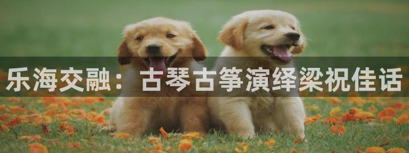 凯发k8国际app