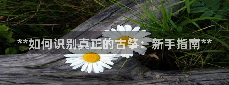 凯发旗舰厅官网